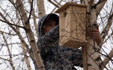 Погода в Сыктывкаре на 25 апреля: воздух прогреется до +12 °C