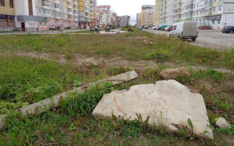«Народный контроль»: сыктывкарцы жалуются на субботник и на лестницы к магазинам