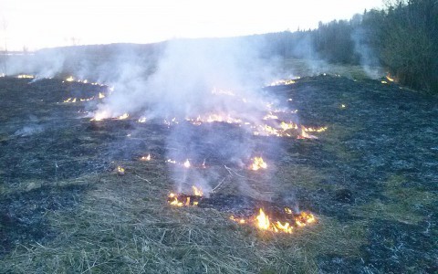 В Коми произошел пожар на берегу реки (фото)