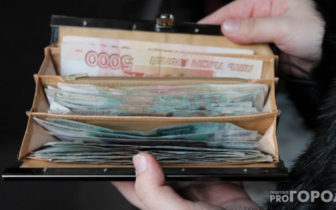 В Коми неизвестные похитили из барсетки пенсионера 200 тысяч рублей