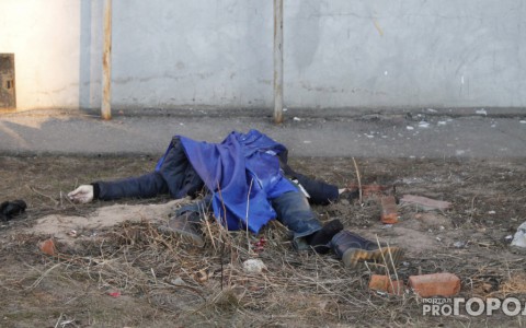 В Коми под еловыми ветками нашли труп мужчины