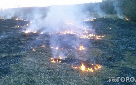В Коми произошел первый крупный лесной пожар