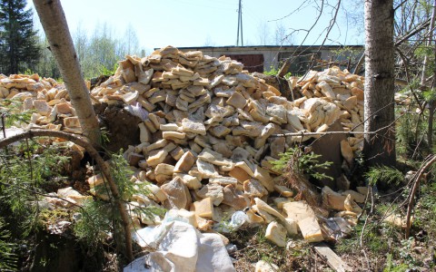 Под Сыктывкаром на помойку выкинули кучу сала (фото)