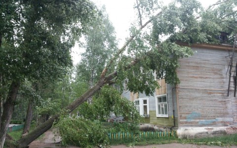В Сыктывкаре объявили о штормовом предупреждении