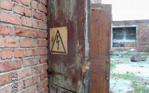 Сыктывкар за день 27 мая: труп мужчины, корова и ремонт Кировского парка