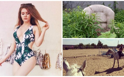Сыктывкарское утро 3 июня в Instagram: подготовка к отпуску, кресло в кустах и прогулка на лошадях (фото)