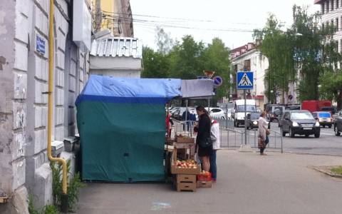 Андрей Самоделкин попросил сыктывкарцев «сдавать» нелегальных торговцев