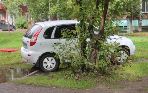 «Народный контроль»: почему на Петрозаводской,36 авто паркуют прямо на клумбе?