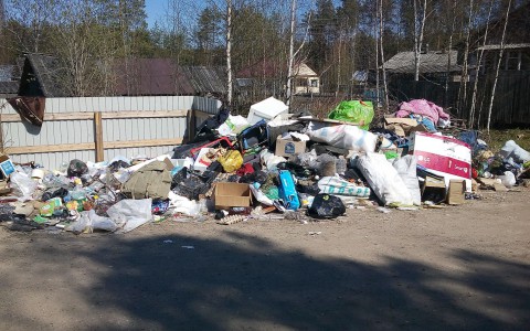 В Затоне и Максаковке будет работать новая бесконтейнерная схема вывоза мусора