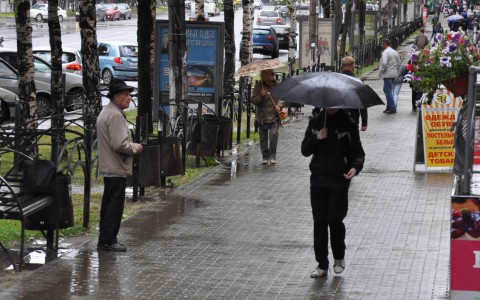 Погода в Сыктывкаре на 25 июня: днем небольшой дождь