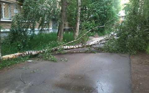 В Коми объявлено штормовое предупреждение