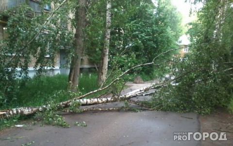 Погода в Сыктывкаре на 7 июля: небольшой кратковременный дождь