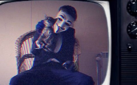 Живодеры устроили в Сети реалити-шоу, где жизнь котенка зависит от числа лайков