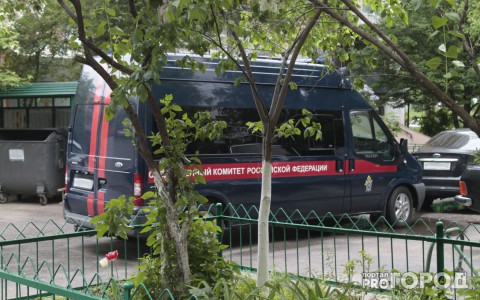 В Коми мужчина поленом убил своего брата