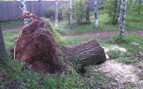 В Коми ожидаются грозы с ливнями