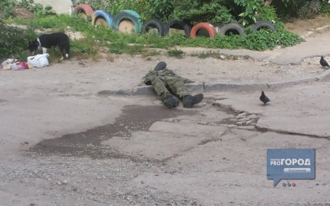 Сыктывкар за день 27 июля: труп во дворе, пьяная женщина и голова коровы