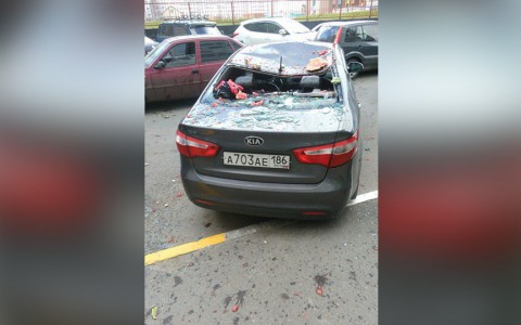 Упавший из окна многоэтажки арбуз разбил иномарку