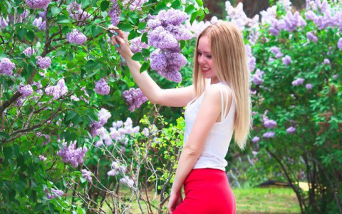 Погода в Сыктывкаре на 2 августа: жара и ясно
