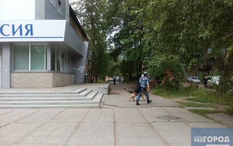 Стало известно, почему оцепили территорию главного корпуса СГУ в Сыктывкаре