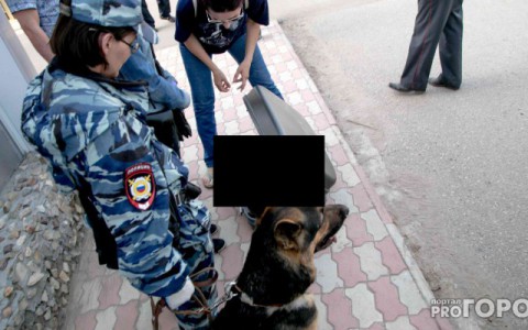 События России: труп в чемодане и пьяная  драка в баре