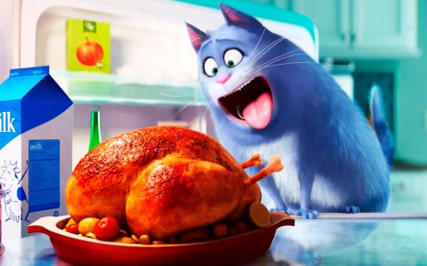 ProGorod11.ru разыгрывает билеты в IMAX на премьеру «Тайная жизнь домашних животных»