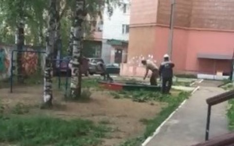 В Сыктывкаре работники брали песок с детской площадки, чтобы сделать ремонт (видео)