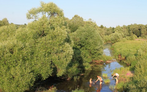 В Коми во время пикника на берегу водоема утонул мужчина
