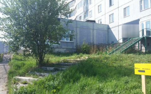 В Сыктывкаре появилось дерево желаний (фото)