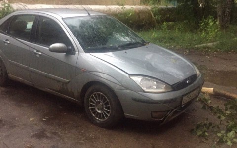 В Сыктывкаре на Ford Focus рухнуло дерево (фото, видео)