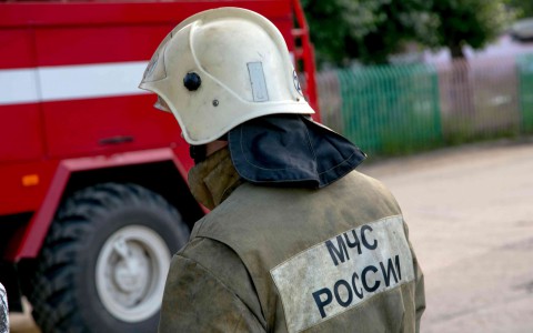 В Коми в лесу пропали две девочки
