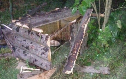 В Коми неизвестное животное разорвало собаку и выпило кровь кроликов