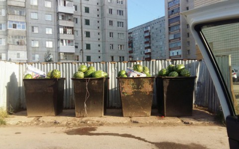 В Коми в мусорные баки выкинули тонну арбузов