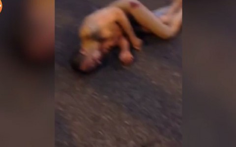 Абсолютно голый мужчина угодил под машину после обнаженного купания в море