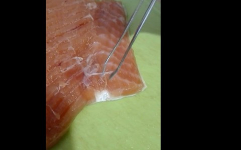 В одном из магазинов Сыктывкара продают рыбу с червями (видео)