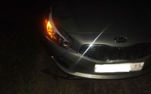 На трассе Сыктывкар-Ухта иномарка сбила 43-летнего бомжа