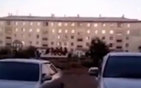 Стая бродячих собак загнала детей на крышу