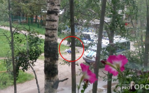 Стали известны подробности смерти мужчины на Октябрьском проспекте в Сыктывкаре