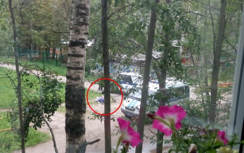 В Сыктывкаре на Октябрьском проспекте нашли труп мужчины (фото)