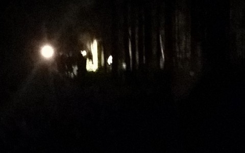 На месте убийства девушки в Сыктывкаре налаживают освещение для работы следователей