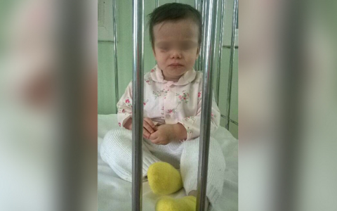Полиция по ошибке забрала у матери детей на две недели в приют
