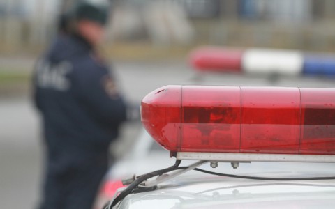 В Коми на трассе сотрудники ГИБДД подрались с 70-летним мужчиной и его сыном