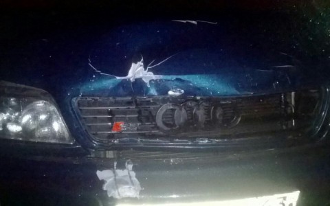 В Коми пьяный водитель на «Ауди» сбил двух подростков