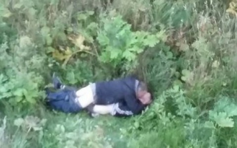 Стало известно, в каком дворе Сыктывкара мужчины занимались любовью