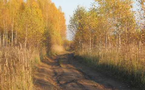 Погода в Сыктывкаре на 15 сентября: ждать ли солнца?