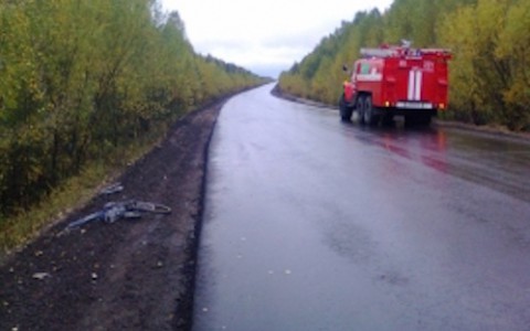 В Коми водитель «Лады Ларгус» насмерть сбил грибника, который возвращался из леса