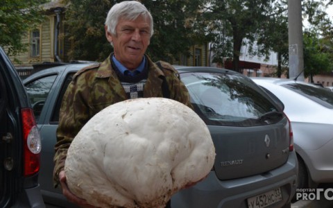 Мужчина нашел гриб, который может вылечить от рака