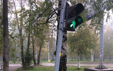 В Сыктывкаре машина разломала светофор на две части