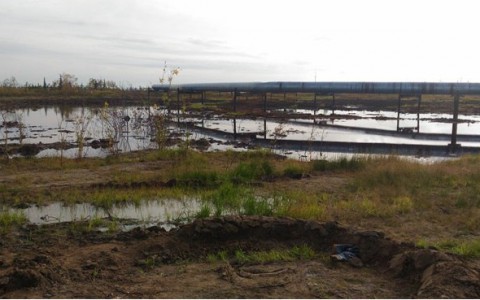 В Коми ликвидировали последствия разлива нефти