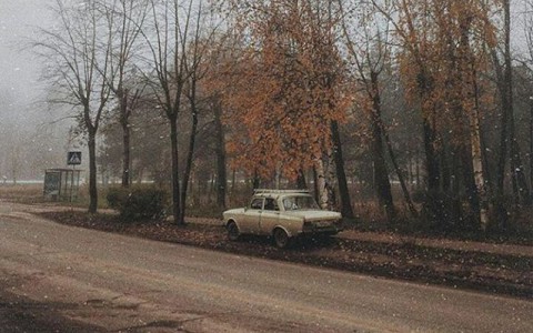 Сыктывкарский авто-Instagram: езда за грузовиком, туманный город и автомобиль с хворостом на крыше