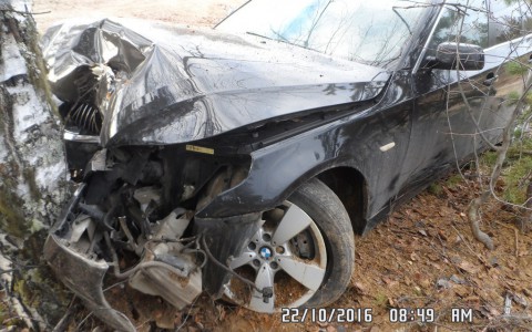 В Коми водитель BMW врезался в дерево и после этого напился